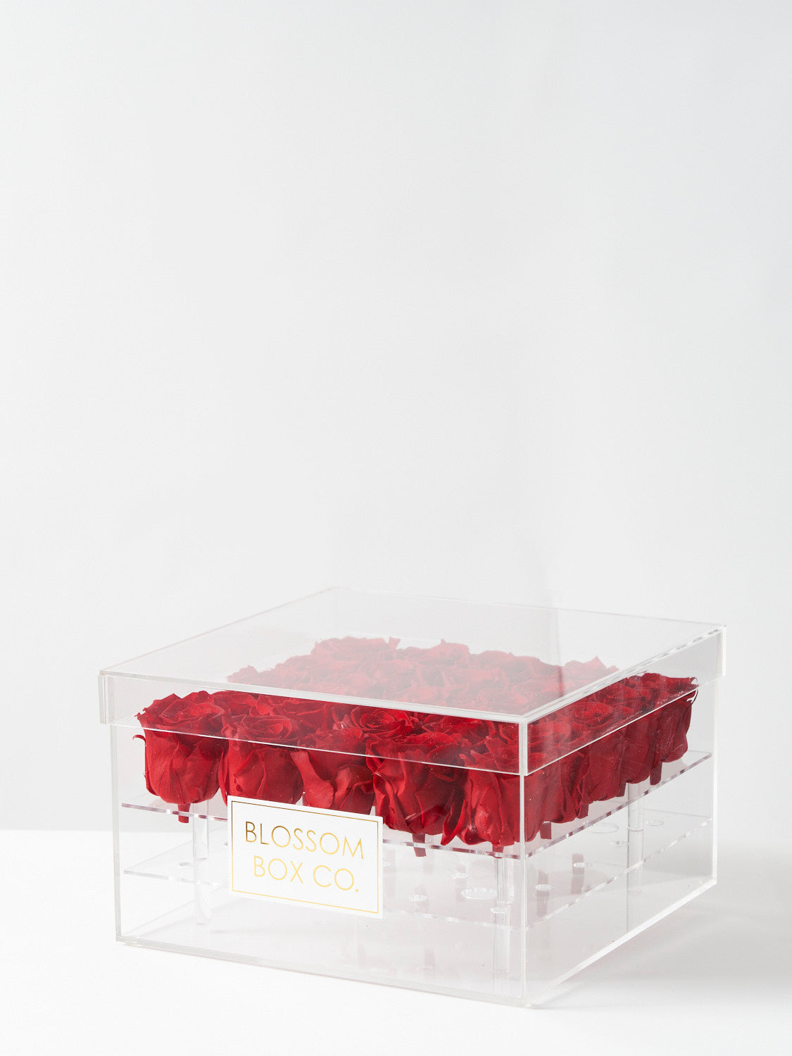 Acrylic Preserved Rose Boxes