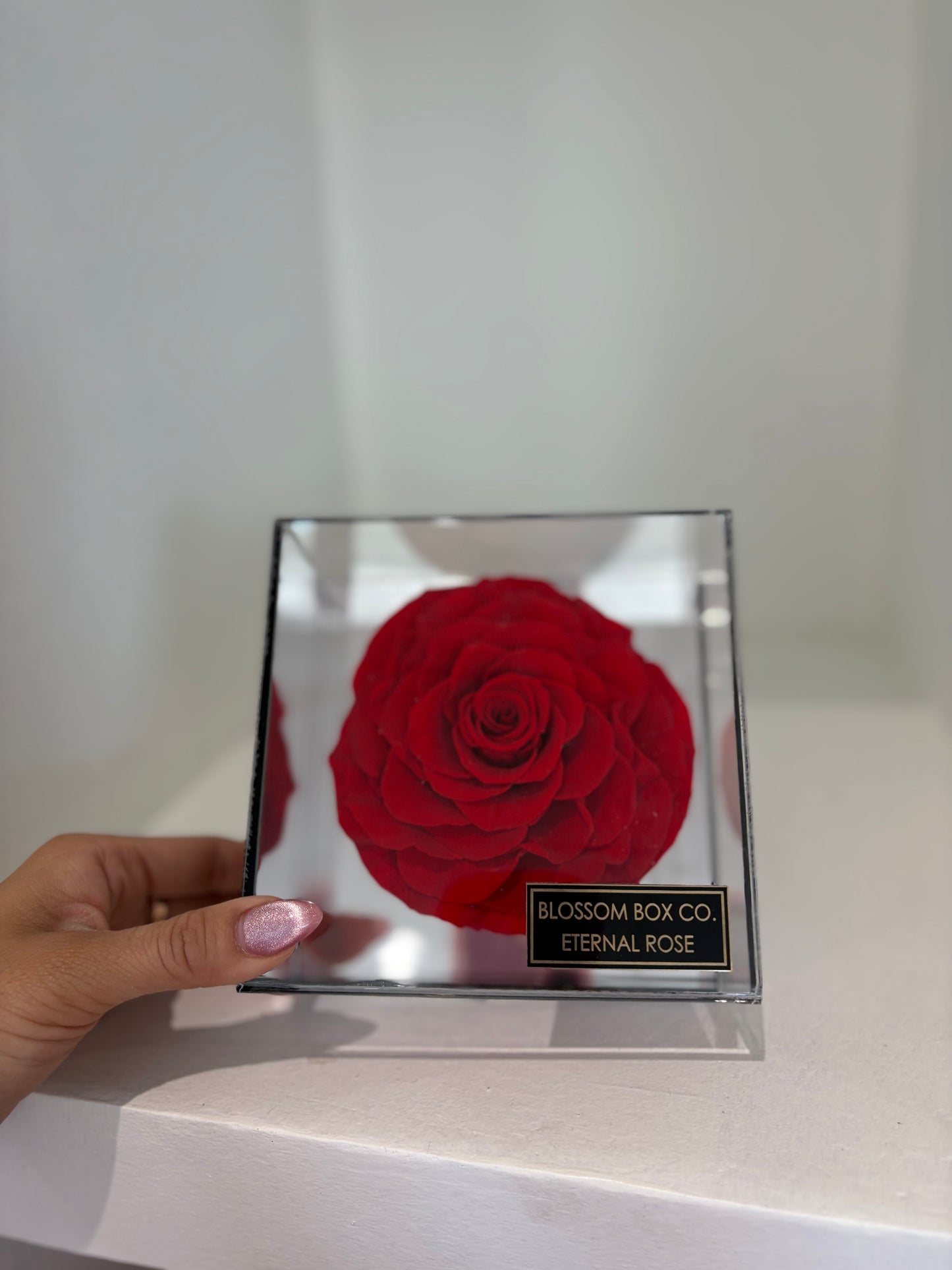 Single preserved rose in acrylic box